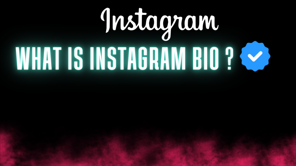 Example About What is instagram bio