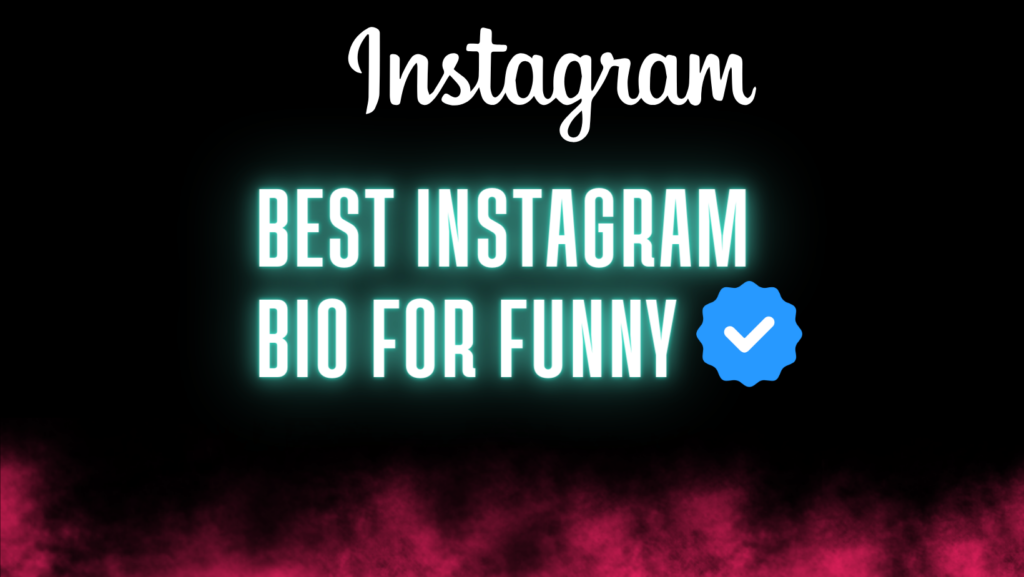 Example About Best Instagram Bio for Funny